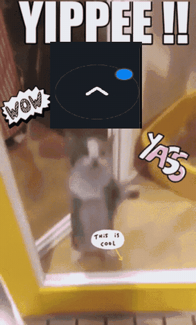 A Picture Of A Cat With The Words " Yippee " Written On It GIF