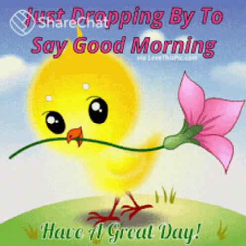 A Picture Of A Chick Holding A Pink Flower With The Words Just Dropping By To Say Good Morning GIF