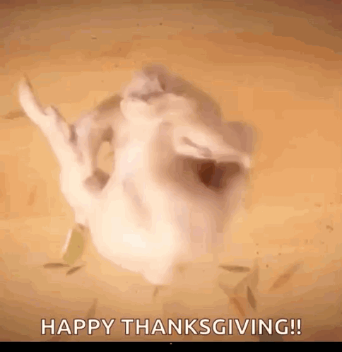 A Picture Of A Chicken With The Words Happy Thanksgiving In The Corner GIF