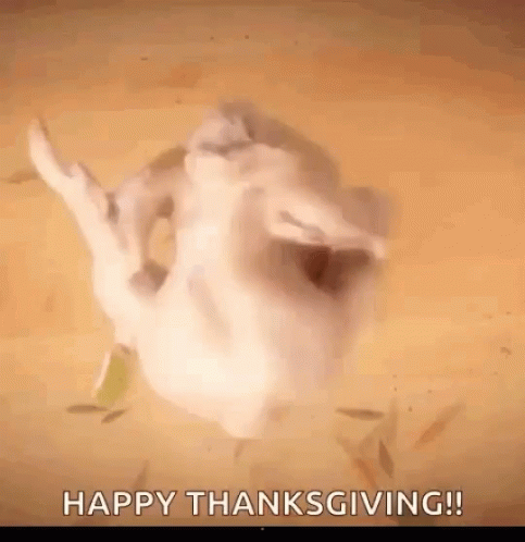 A Picture Of A Chicken With The Words Happy Thanksgiving Written Below It GIF