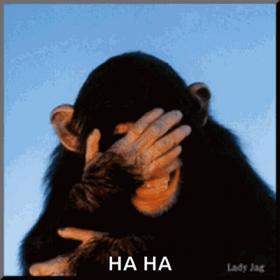 A Picture Of A Chimpanzee Covering Its Face With Its Hand And The Words Ha Ha Underneath It GIF