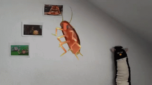 A Picture Of A Cockroach On A Wall Next To A Stuffed Cat GIF
