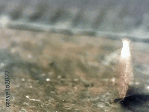 A Picture Of A Coin With The Year 2022 On The Bottom Right GIF