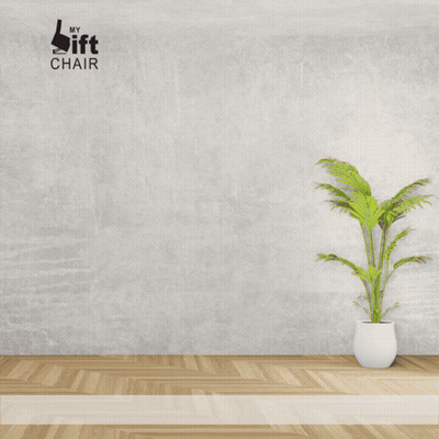 A Picture Of A Comfort Lift Recliner With A Plant In Front Of It GIF