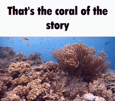 A Picture Of A Coral Reef With The Words That 'S The Coral Of The Story GIF