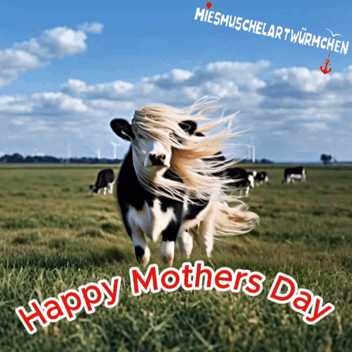 A Picture Of A Cow In A Field With The Words Happy Mothers Day Below It GIF