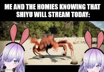 A Picture Of A Crab With The Caption " Me And The Homies Knowing That Shiyu Will Stream Today " GIF