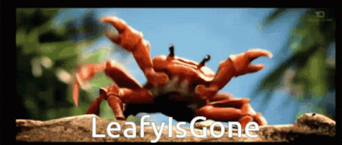 A Picture Of A Crab With The Words Leafy Is Gone GIF