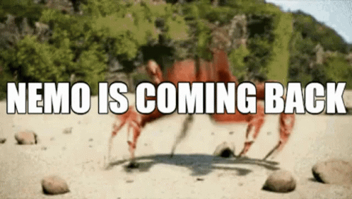 A Picture Of A Crab With The Words Nemo Is Coming Back On It GIF
