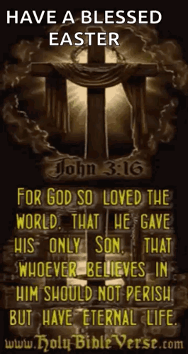 A Picture Of A Cross With A Quote From John 3:16 GIF