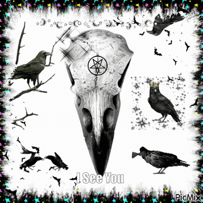 A Picture Of A Crow Skull With A Pentagram And The Words " I See You " GIF