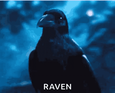 A Picture Of A Crow With The Word Raven Written Below It GIF