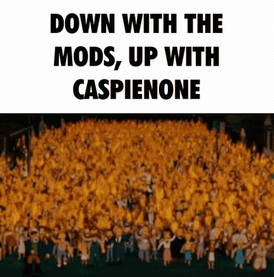 A Picture Of A Crowd Of People With The Words Down With The Mods Up With Caspienone On The Bottom GIF