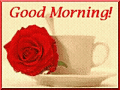 A Picture Of A Cup Of Coffee And A Red Rose With The Words Good Morning GIF
