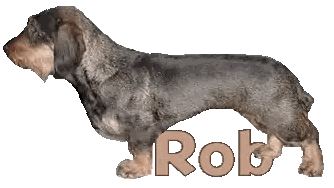 A Picture Of A Dachshund With The Name Rob On It Sticker