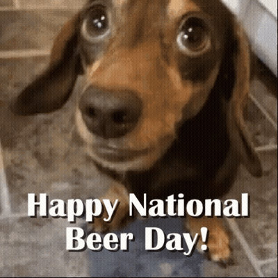 A Picture Of A Dachshund With The Words Happy National Beer Day On It GIF