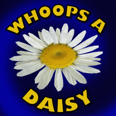 A Picture Of A Daisy With The Words Whoops A Daisy Above It GIF