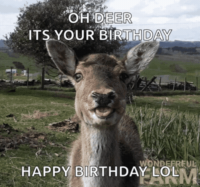 A Picture Of A Deer That Says Oh Deer Its Your Birthday Happy Birthday Lol GIF