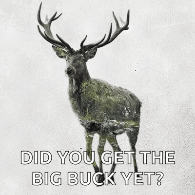 A Picture Of A Deer With A Caption That Says Did You Get The Big Buck Yet GIF