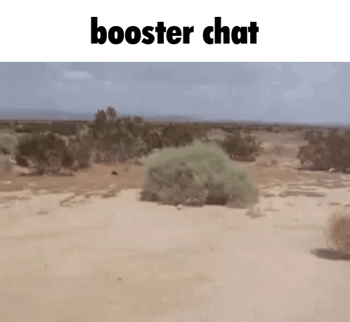 Desert Scene With Booster Chat Text GIF