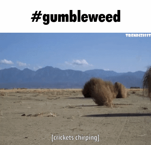 A Picture Of A Desert With The Words " Crickets Chirping " Below It GIF