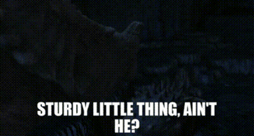 A Picture Of A Dinosaur With The Words Sturdy Little Thing Ain T He GIF