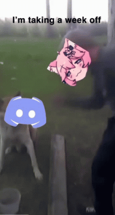 A Picture Of A Dog And A Discord Icon With The Words I 'M Taking A Week Off At The Bottom GIF