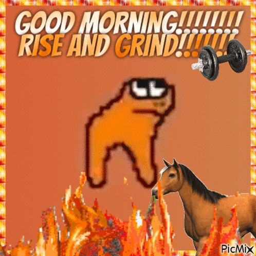 A Picture Of A Dog And A Horse With The Words Good Morning Rise And Grind GIF