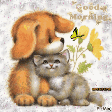 A Picture Of A Dog And A Kitten With The Words Good Morning Written On It GIF