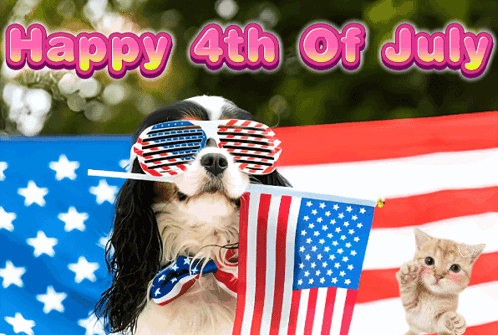 A Picture Of A Dog And A Kitten With The Words Happy 4Th Of July GIF