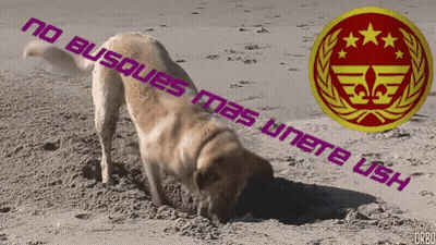 A Picture Of A Dog Digging In The Sand With The Words No Busques Mas Unete Ush Above It GIF