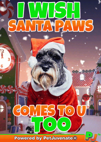 A Picture Of A Dog Dressed As Santa Claus With The Caption " I Wish Santa Paws Comes To You Too " GIF