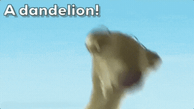 A Picture Of A Dog Holding A Flower With The Words " A Dandelion " Above It GIF