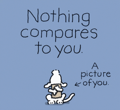 A Picture Of A Dog Holding A Piece Of Paper That Says Nothing Compares To You GIF