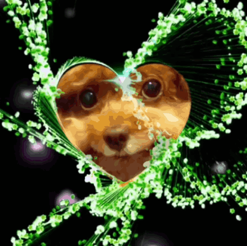 A Picture Of A Dog In A Heart Shaped Frame With Green Flowers GIF