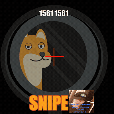 A Picture Of A Dog In A Sniper Scope With The Name Snipe GIF
