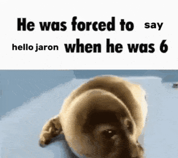 A Picture Of A Dog Laying Down With The Caption He Was Forced To Say Hello Jaron When He Was 6 GIF