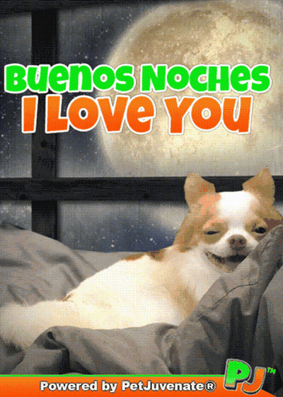 A Picture Of A Dog Laying In Bed With The Words Buenos Noches I Love You Above It GIF