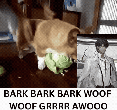 A Picture Of A Dog Next To A Picture Of A Man That Says Bark Bark Bark Woof Woof Grrr Awooo GIF