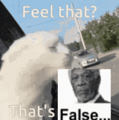 A Picture Of A Dog Next To A Picture Of A Man That Says " Feel That " GIF