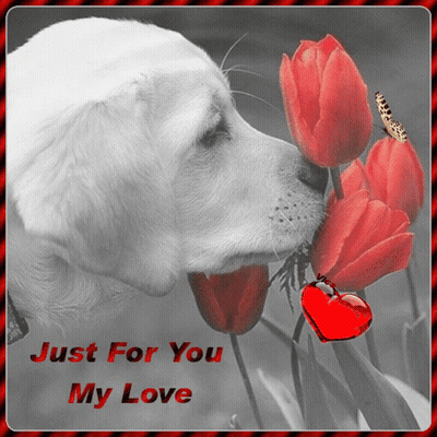 A Picture Of A Dog Smelling A Flower With The Words Just For You My Love GIF