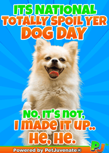 A Picture Of A Dog That Says It 'S National Totally Spoiled Dog Day No It 'S Not I Made It Up He He GIF