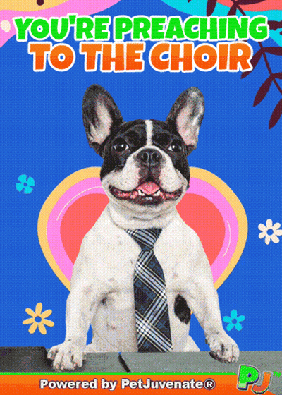 A Picture Of A Dog Wearing A Tie With The Words " You 'Re Preaching To The Choir " Above It GIF