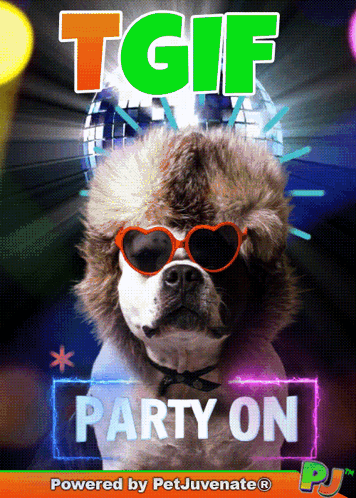 A Picture Of A Dog Wearing Sunglasses And A Fur Hat With The Words Tgif Party On Below It GIF