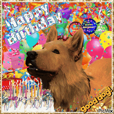 A Picture Of A Dog With A Birthday Cake And The Words Happy Birthday GIF