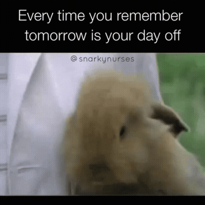 A Picture Of A Dog With A Caption That Says Every Time You Remember Tomorrow Is Your Day Off . GIF