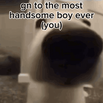 A Picture Of A Dog With A Caption That Says Gn To The Most Handsome Boy Ever ( You ) . GIF