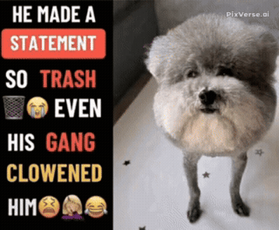 A Picture Of A Dog With A Caption That Says He Made A Statement So Trash Even His Gang Clowed Him GIF