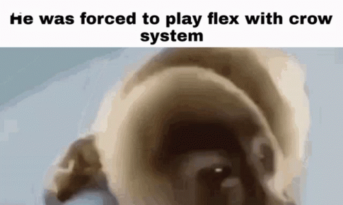 A Picture Of A Dog With A Caption That Says " He Was Forced To Play Flex With Crow System " GIF