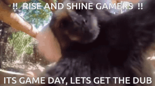 A Picture Of A Dog With A Caption That Says Rise And Shine Gamers Its Game Day Lets Get The Dub GIF